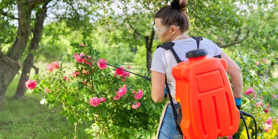 Jaki opryskiwacz akumulatorowy kupić? Wskazówki i porady